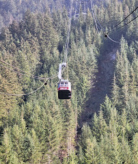 Grouse Mountain