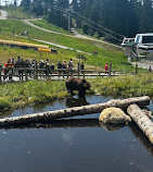 Grouse Mountain