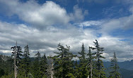 Grouse Mountain