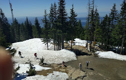 Grouse Mountain