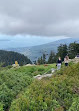 Grouse Mountain