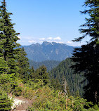 Grouse Mountain