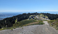 Grouse Mountain