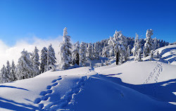 Grouse Mountain