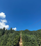 Grouse Mountain