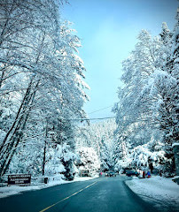 Grouse Mountain