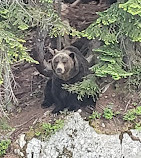 Cypress Provincial Park