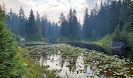 Cypress Provincial Park