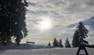 Mt Seymour Resort