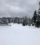 Mt Seymour Resort