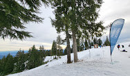 Mt Seymour Resort