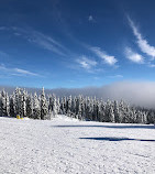 Mt Seymour Resort