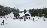 Mt Seymour Resort