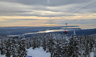 Mt Seymour Resort