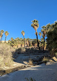 Desert Adventures - Red Jeep Tours Main Office