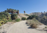 Desert Adventures - Red Jeep Tours Main Office