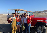 Desert Adventures - Red Jeep Tours Main Office