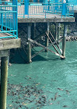 Myrtle Beach Boardwalk and Promenade