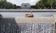 National World War II Memorial