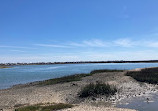 The Murrells Inlet Marsh Walk