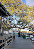 The Murrells Inlet Marsh Walk