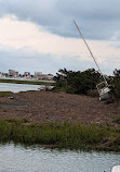 The Murrells Inlet Marsh Walk