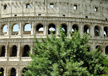 Colosseo