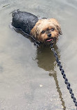 Burke Lake Park