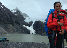 Glaciar Los Perros