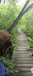 Tannersville Cranberry Bog Preserve