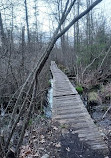 Tannersville Cranberry Bog Preserve