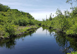 Tannersville Cranberry Bog Preserve