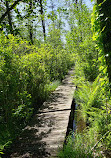 Tannersville Cranberry Bog Preserve