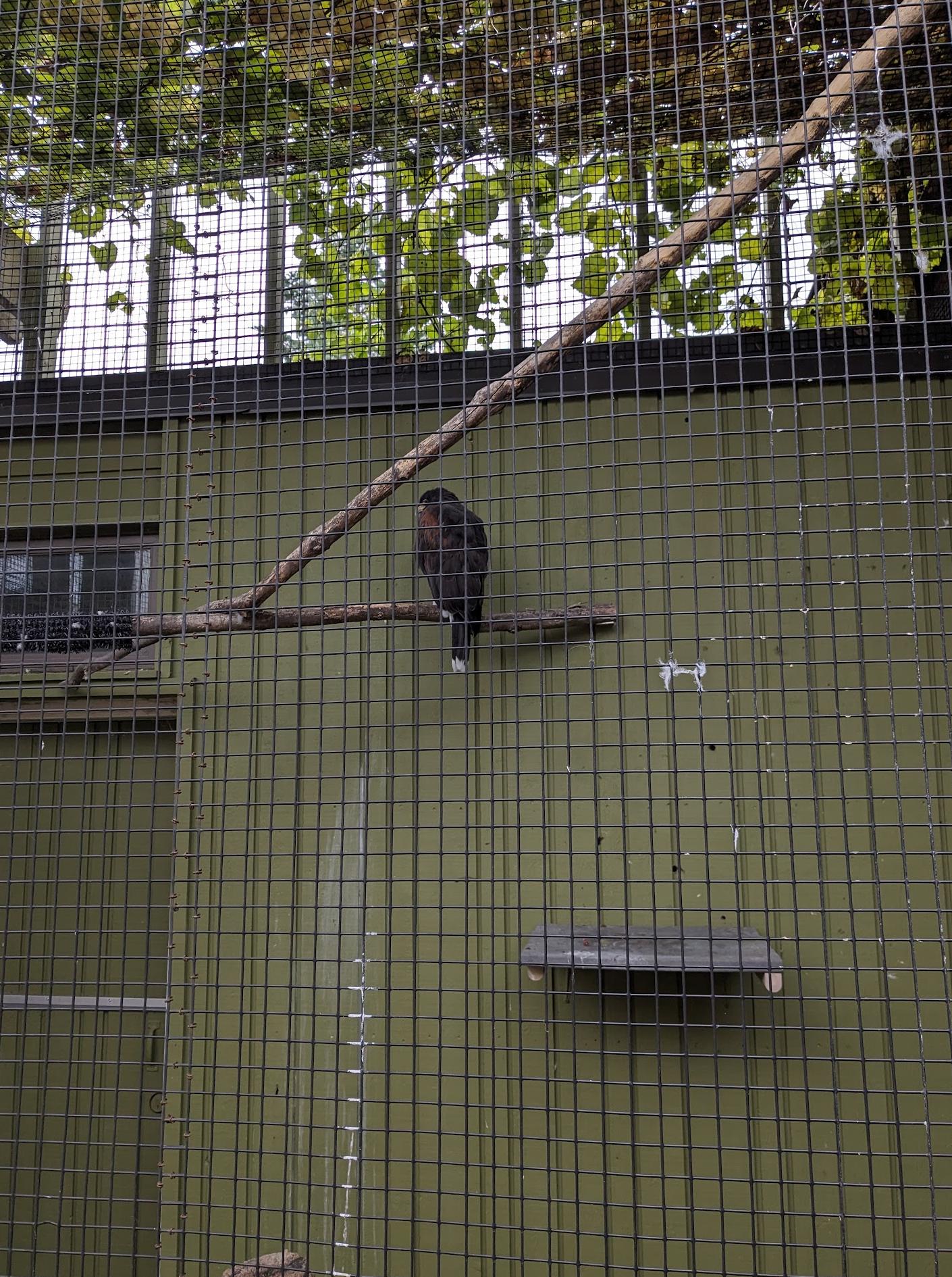 Toronto Zoo Wildlife Health Centre