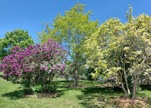 Humber-arboretum