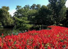 Humber-arboretum