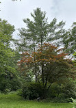 Humber Arboretum