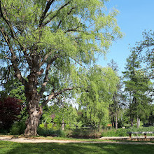 Humber-arboretum