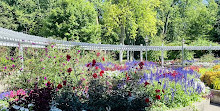 Rosetta McClain Gardens