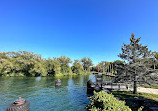 Toronto Island Park