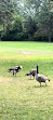 Toronto Island Park