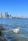 Toronto Island Park