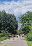 Toronto Island Park