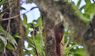 Volcan Arenal Ecological Park