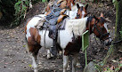 Volcan Arenal Ecological Park