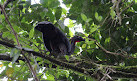 Volcan Arenal Ecological Park