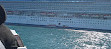 Princess Cruises