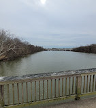 Theodore Roosevelt Island Pedestrian Bridge