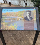 Theodore Roosevelt Island Pedestrian Bridge