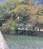 Theodore Roosevelt Island Pedestrian Bridge